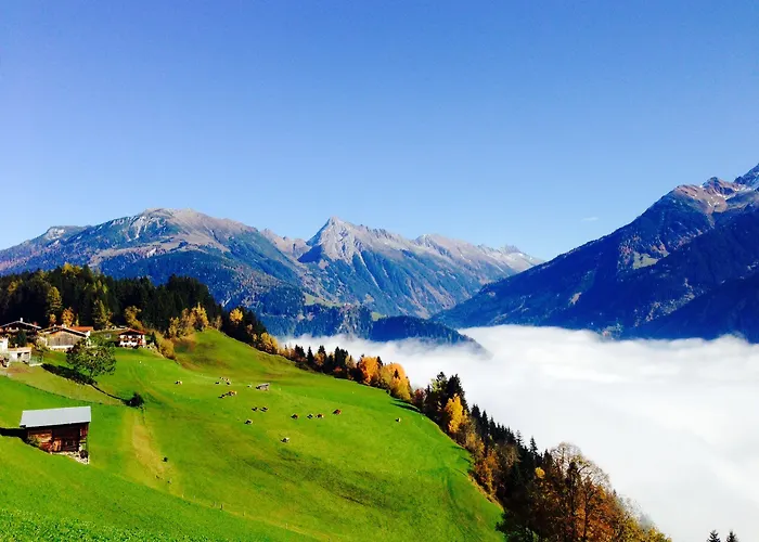 Pramstraller مايرهوفن