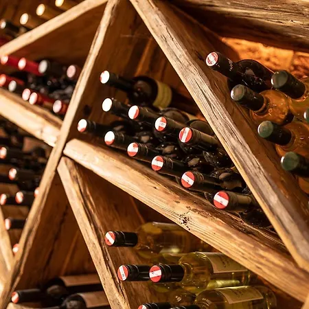 Pramstraller 4* Mayrhofen