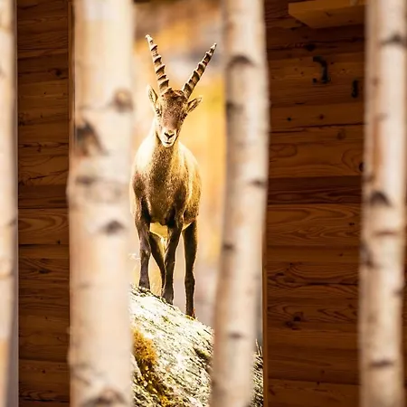 Pramstraller Szálloda 4*