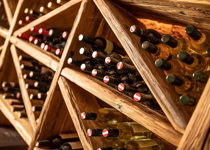 帕艾姆斯特奥雷酒店 4* 迈尔霍芬