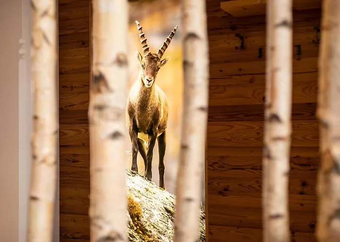 Pramstraller Hotel 4*